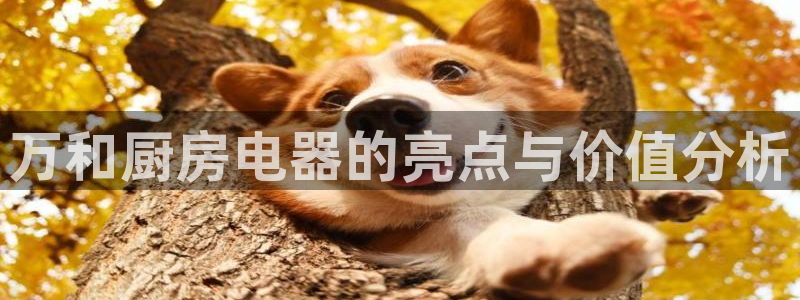 鸿运赌场开户平台