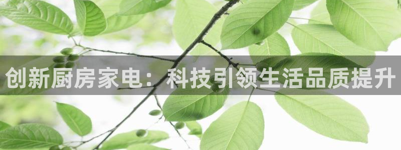 鸿运国际平台国