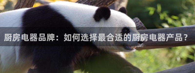 鸿运通借款平台