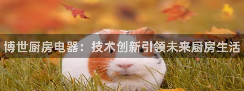 鸿运平台刷流水