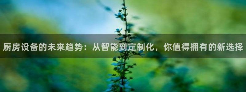 鸿运当头借款平台