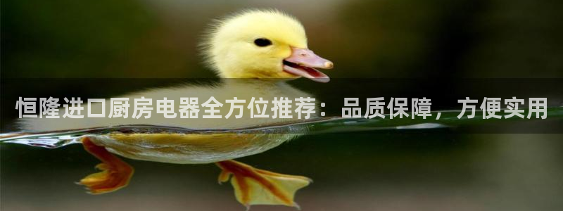 鸿运平台运平