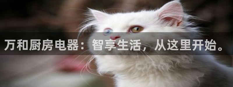 鸿运平台是诈骗平台