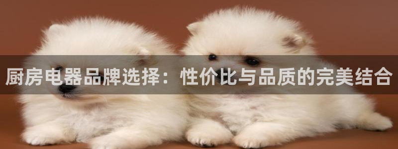 琥珀鸿运平台理财