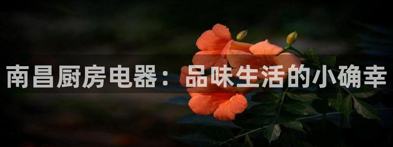 鸿运来是什么平台