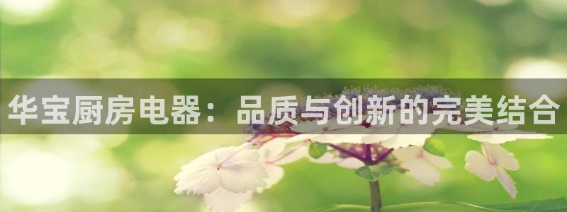 邹平台子鸿运
