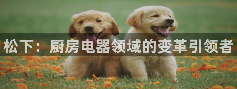 鸿运平台刷投注