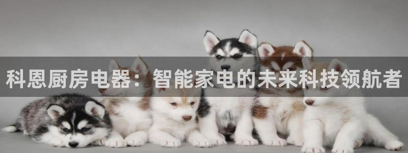 鸿运旧货交易平台