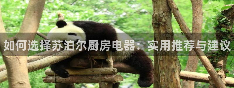 鸿运主播平台