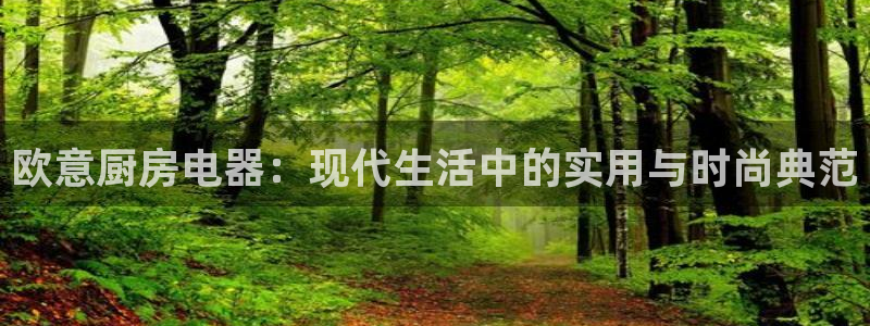 鸿运合拍字画拍卖平台