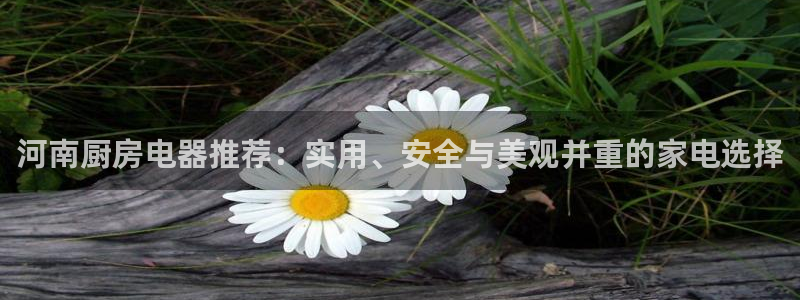 鸿运彩票网络平台