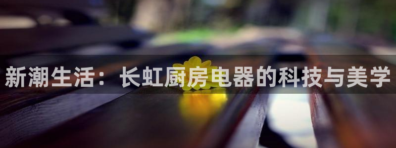 鸿运仓储直播平台