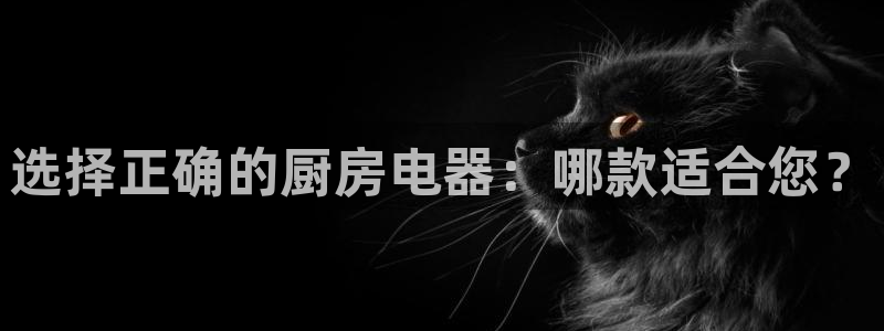 鸿运展业平台
