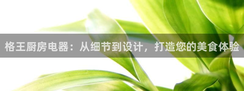 鸿运信任平台