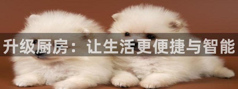 鸿运到游戏直播平台