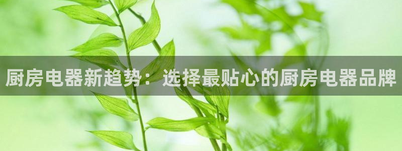 鸿运平台代理理