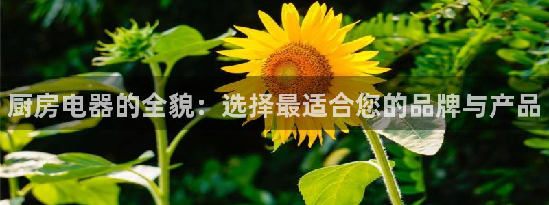 鸿运平台是大平台