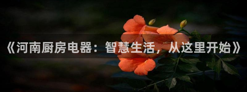 陇原鸿运平台
