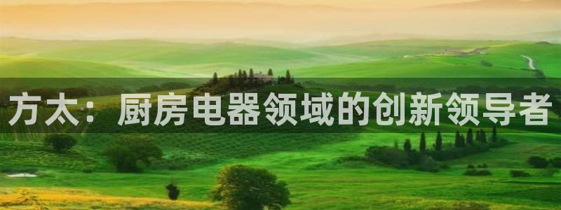 鸿运平台进入官网