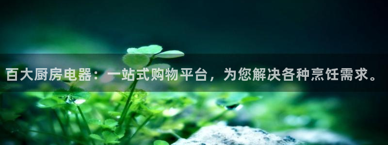 新鸿运娱乐平台