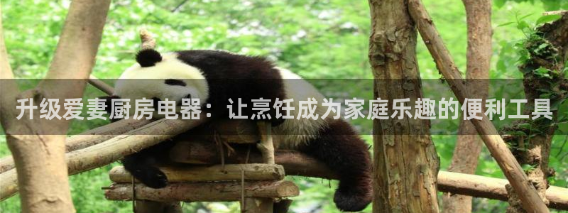 鸿运开户平台