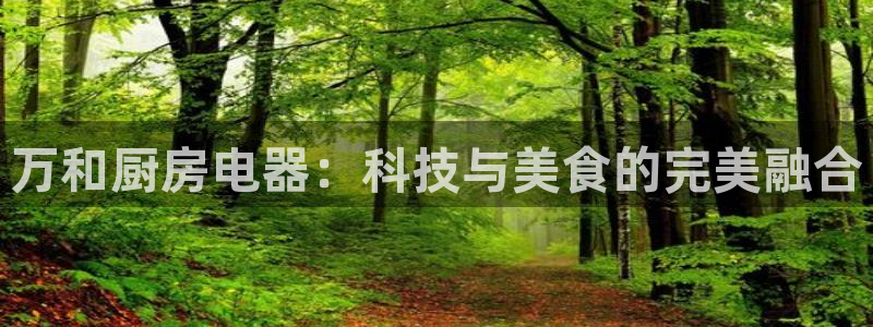 鸿运平台刷投注