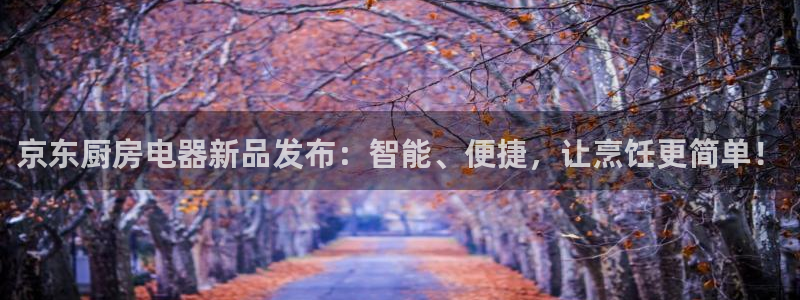 鸿运满堂网上平台