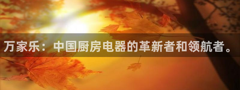 鸿运开的平台