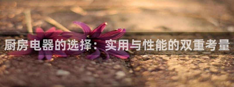 鸿运彩票专业购采平台